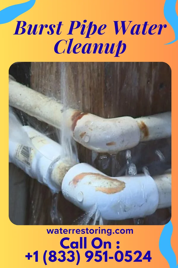 Burst Pipe Water Cleanup in McGill, NV