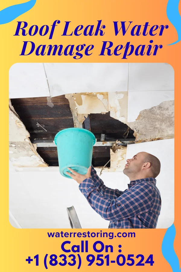 Roof Leak Water Damage Repair in McGill, NV
