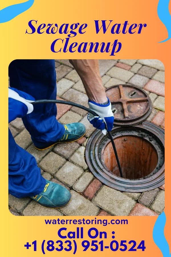 Sewage Water Cleanup in McGill, NV